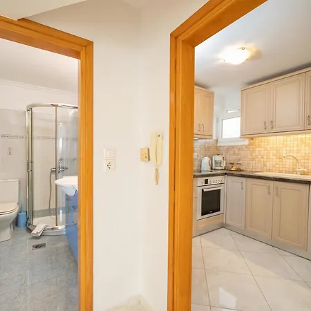 Lejlighed Irene Luxury Metaxáta